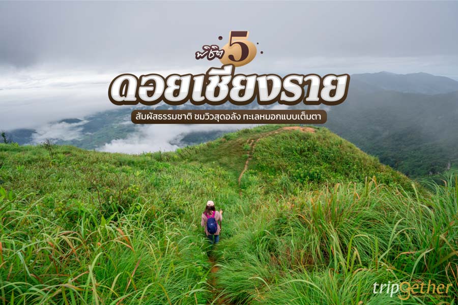 พิชิต 5 ดอยเชียงราย สัมผัสธรรมชาติ ชมวิวสุดอลัง ทะเลหมอกแบบเต็มตา