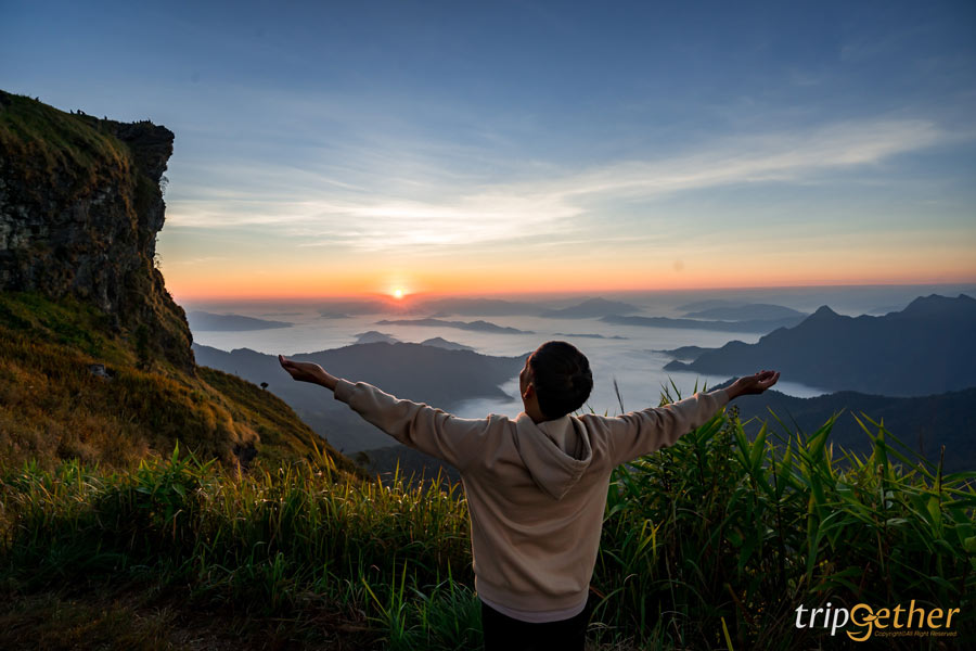 ภูชี้ฟ้า เชียงราย ชมทะเลหมอกสุดอลังการ ณ ปลายฟ้าที่สวยตราตรึงใจ