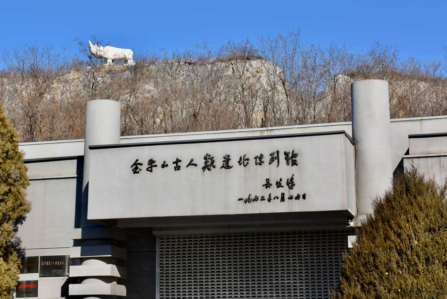 แหล่งโบราณคดีจินหนิวซาน เมืองอิ๋งโข่ว มรดกอายุ 260,000 ปี ที่เติมเต็มช่องว่างวิวัฒนาการของมนุษย์