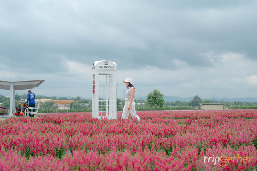 เขาใหญ่ ปากช่อง 3วัน2คืน