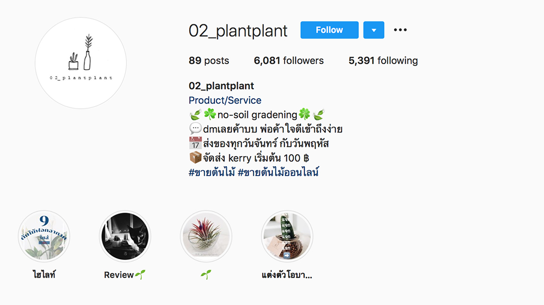 02_plantplant_01
