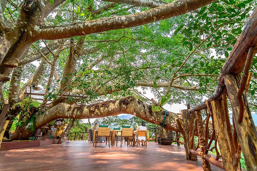 10275464_543340342443699_6551167356521597859_o