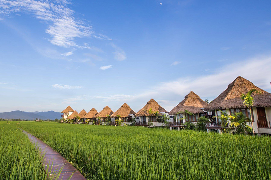 12967495_1171932666173525_333243413746555674_o