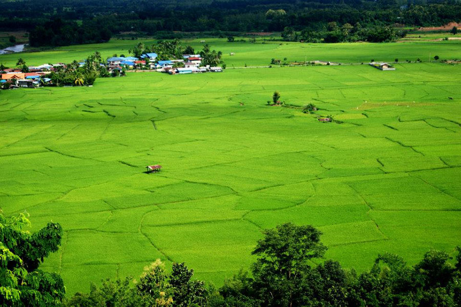 1395971_700860423275133_1102260433_n