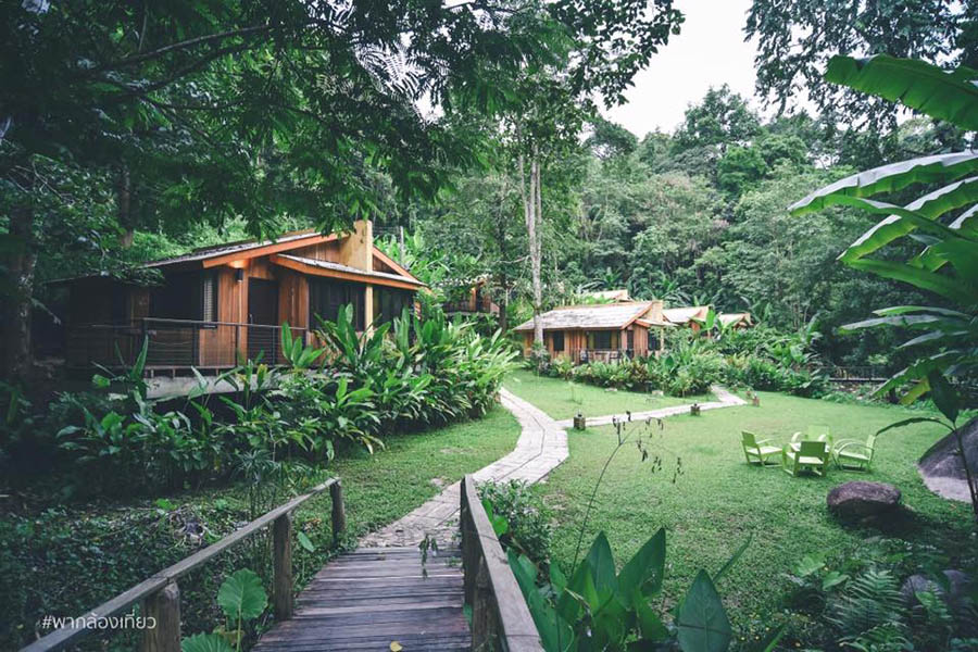 14632805_357216174626215_2299078352865017946_n.[1]