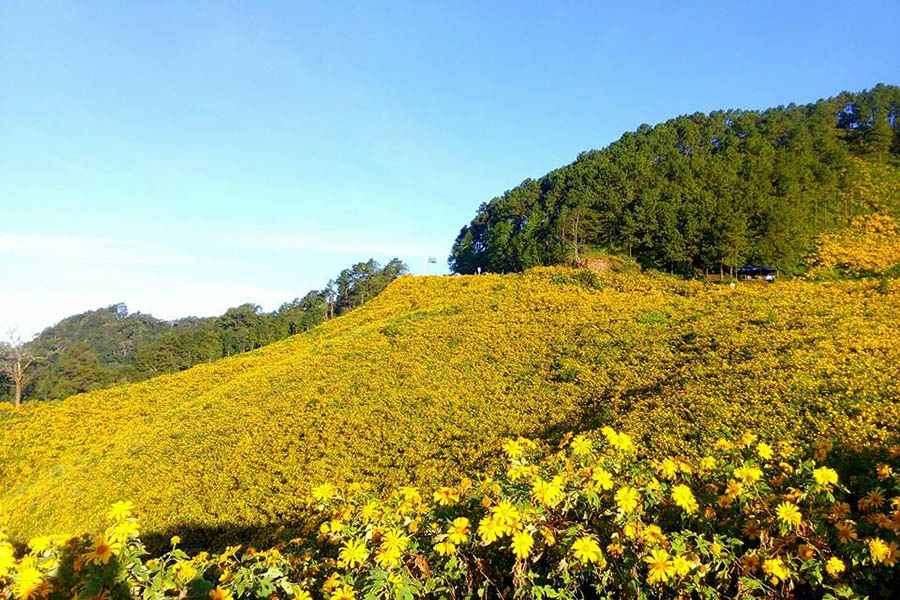 15193543_2214514972106320_2085127882634017515_n