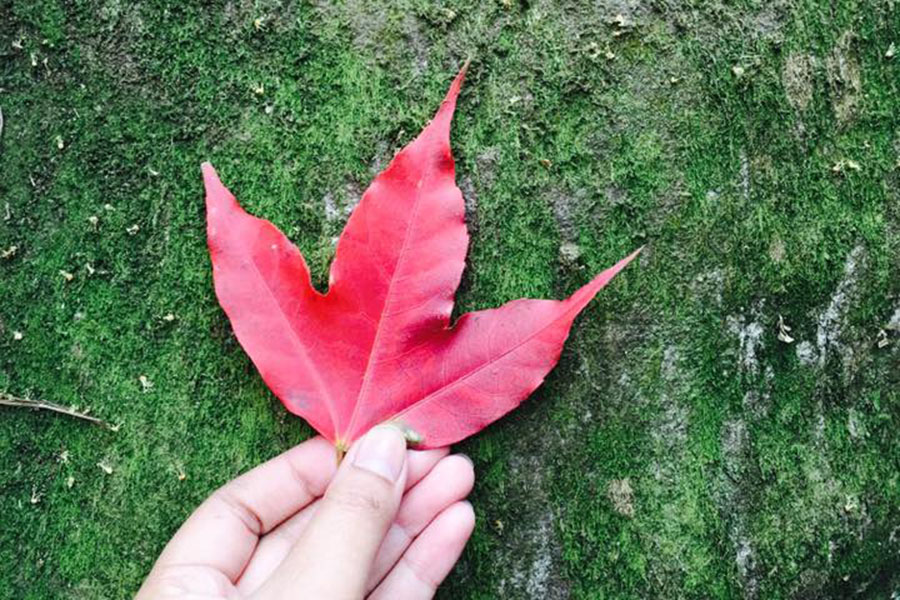 16298637_1332555730134545_5295531630167123209_n