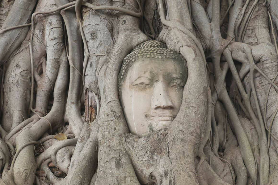 17493094_419555431726634_6892174564033156347_o