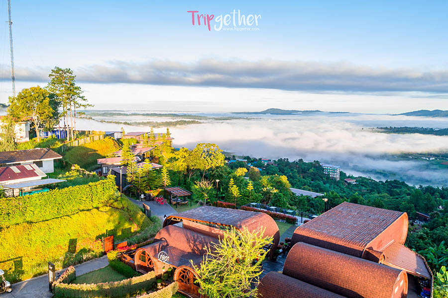 180AlldayAllseason-197