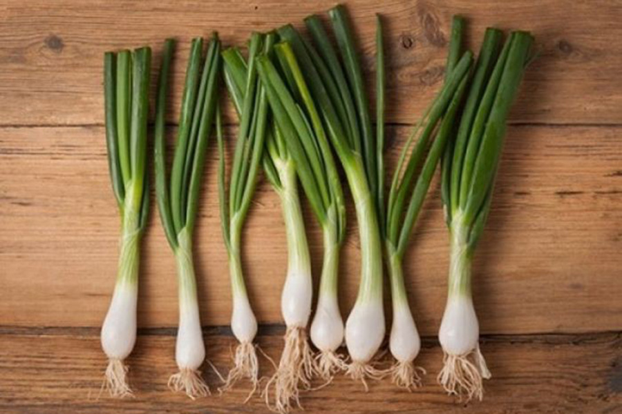 1UxrJcUJUI1RS_GbPq4EYLA