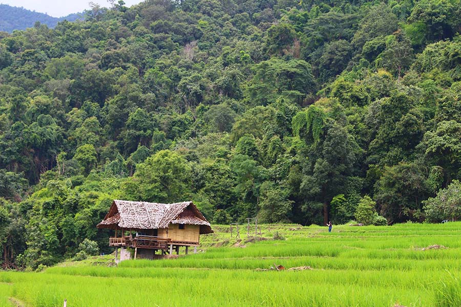 20818908_1366144153433674_1028790127401918527_o