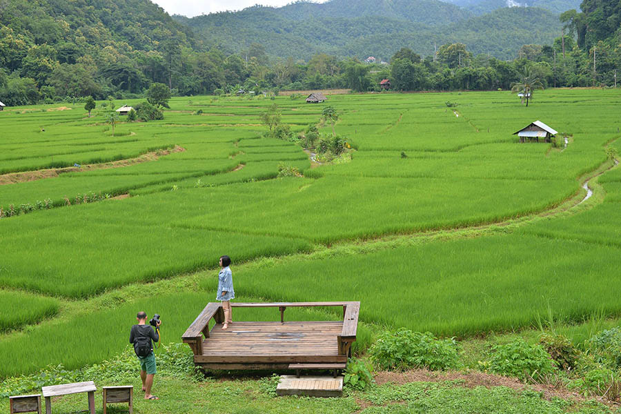 21551894_1986039994945268_5992962620609179809_o