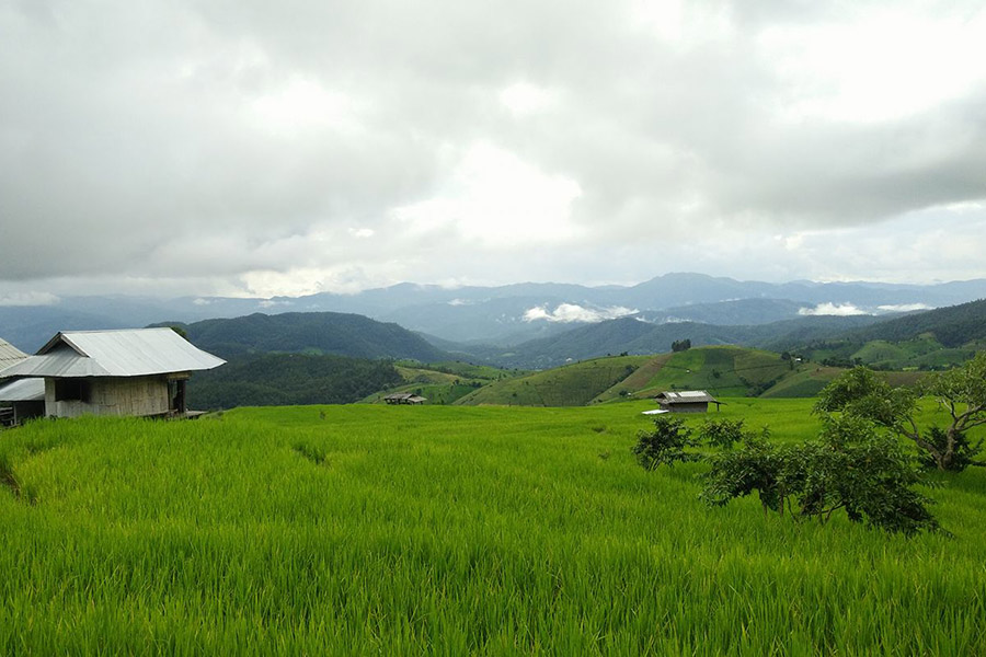 21753044_1393180967396659_4643316520549552532_o