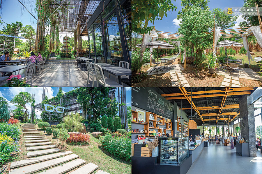 30 คาเฟ่เขาใหญ่ - วังน้ำเขียว - ปากช่องต้องแวะเช็คอิน!