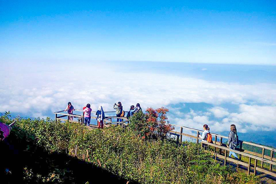 23032671_1393105374120633_8188901975413161064_n