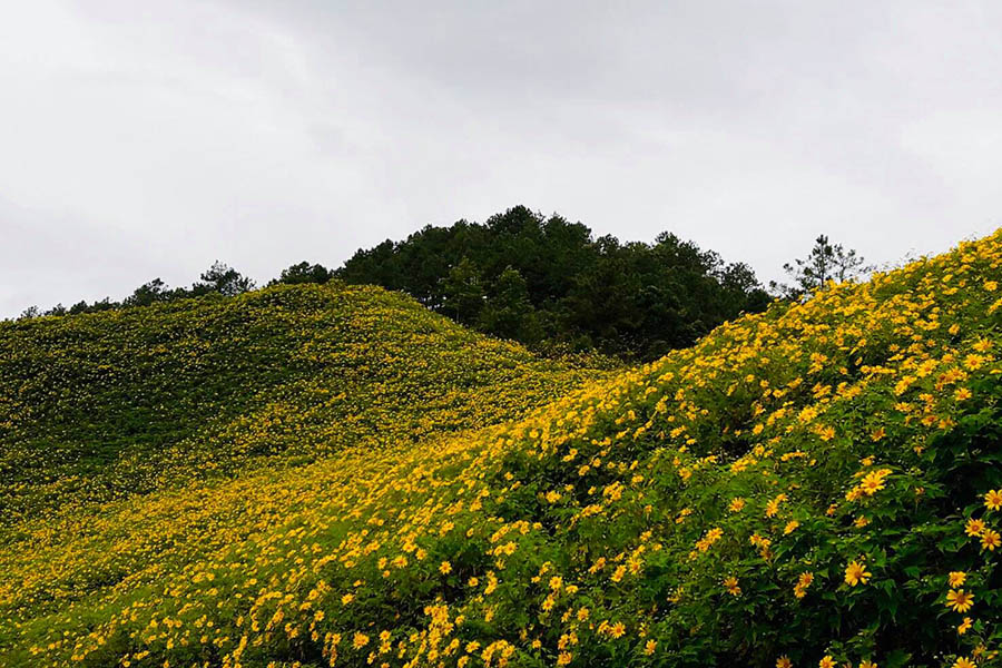 23331237_2051679805054196_1527135163336406066_o