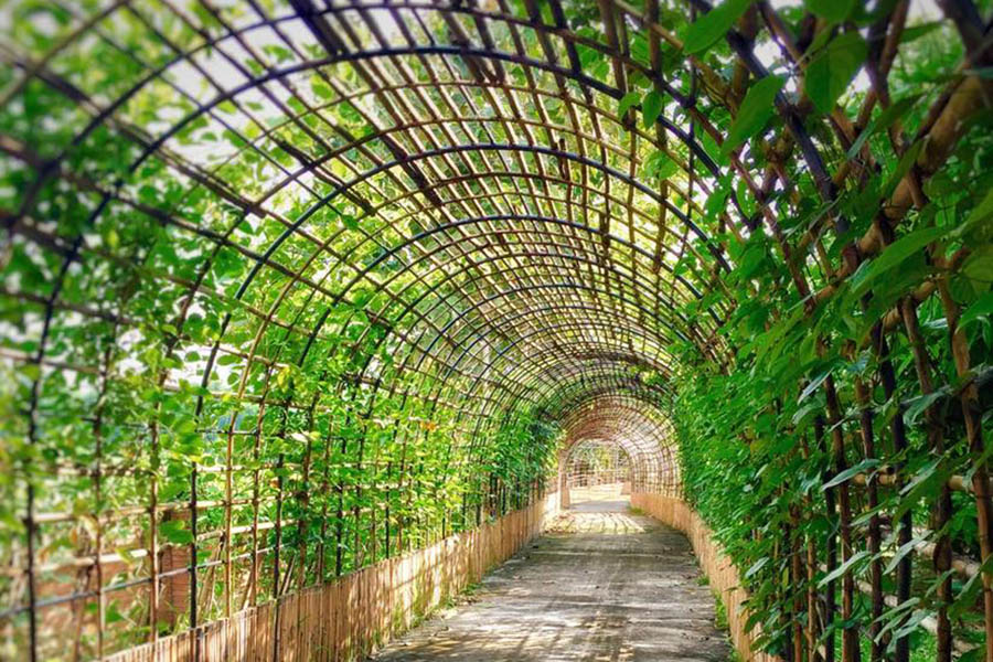 24775182_1873576666290054_7654688072016811569_n