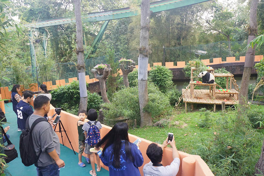 25073228_1606759882704055_109082763840895400_o