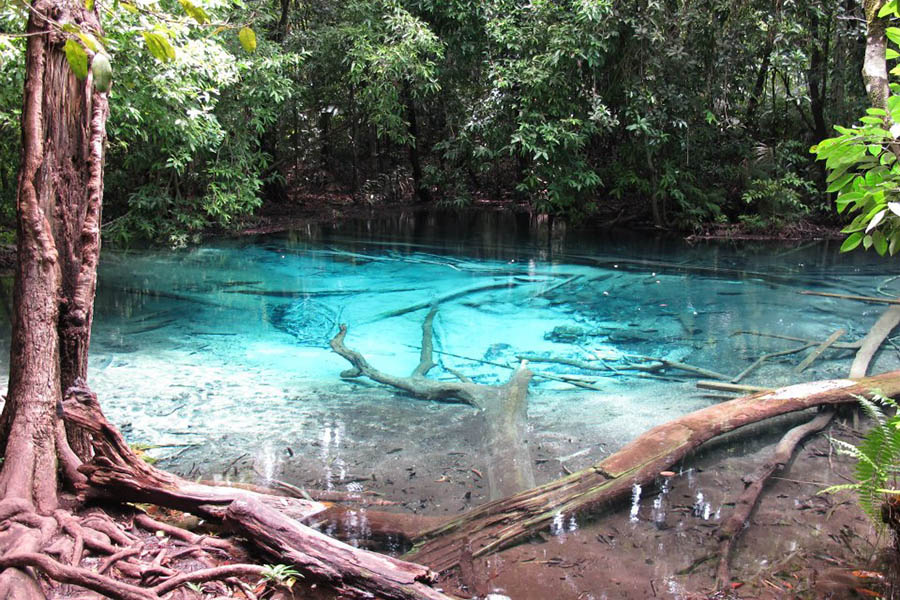 260342_10152819642965215_2045475673_n