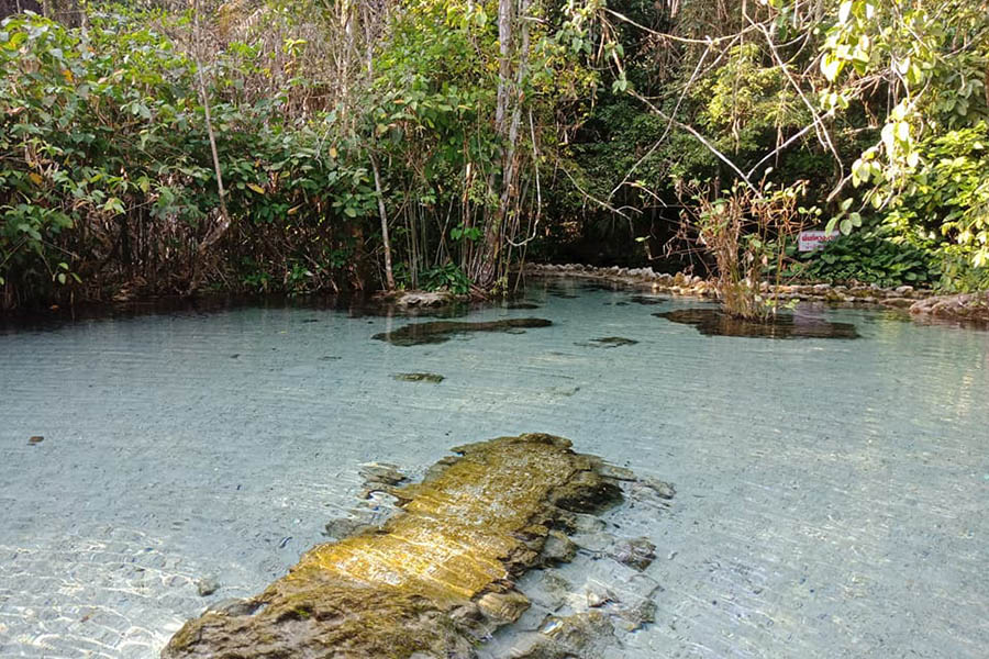 27858902_1684063764984282_9122974882916657841_n