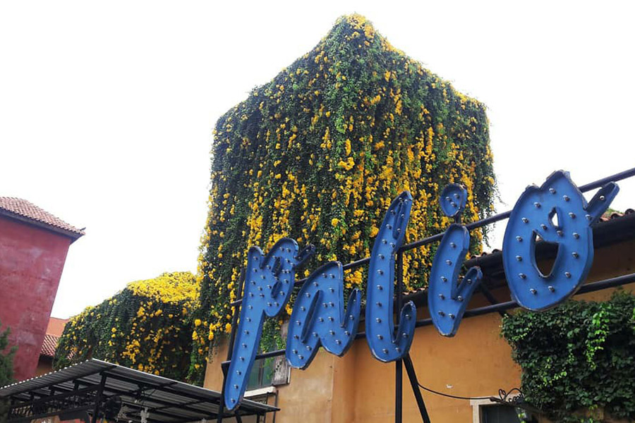 28619314_10156001310214404_660808480094512903_o