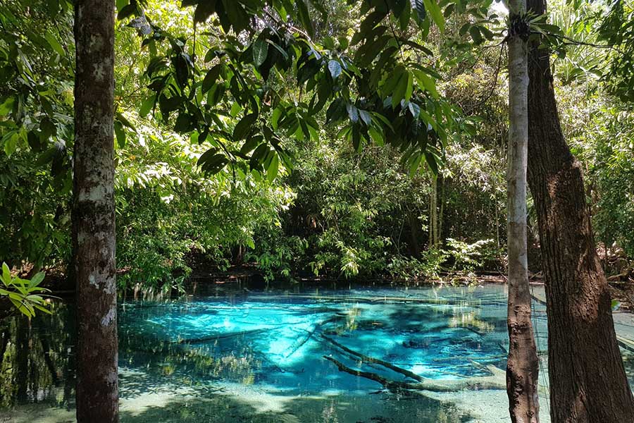 28828234_10156175535589941_2606983182968835265_o