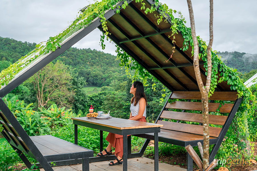 10 ที่พักวิวเขา สวยสุดอันซีน