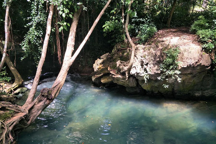 36578838_2118048635145412_8975738791096483840_n