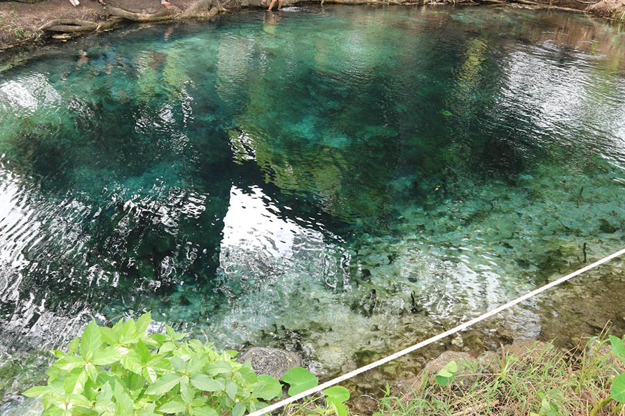 37120492_1747161738665071_7792318775260348416_o