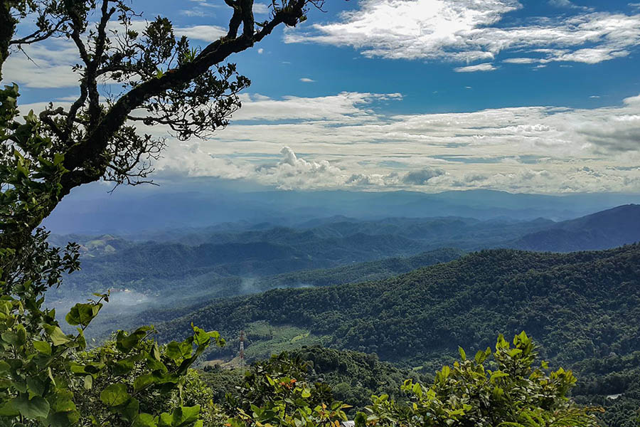 37192299_10205438035908363_5988462575711420416_o