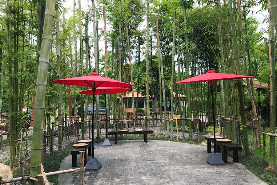 37397528_10215576964152543_7274016982565912576_o