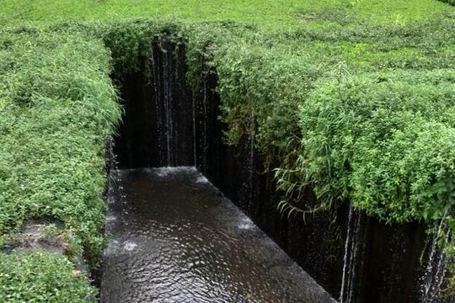 38462756_10210519586780593_7687613541372657664_n