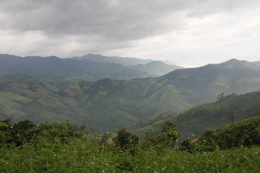 389800_498867603474417_1569036270_n