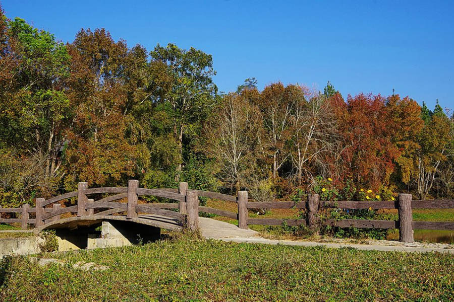 397372_10151366826392980_1698245265_n