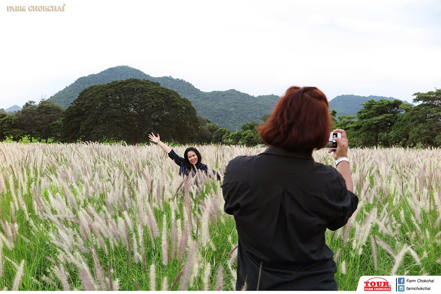 40668783_2086159744749203_4299122002549014528_o