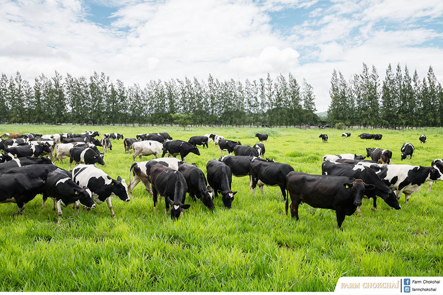 44339355_2145353348829842_8706566164089667584_o