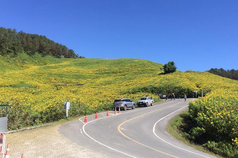 45460286_494720911032083_3385968065148616704_n