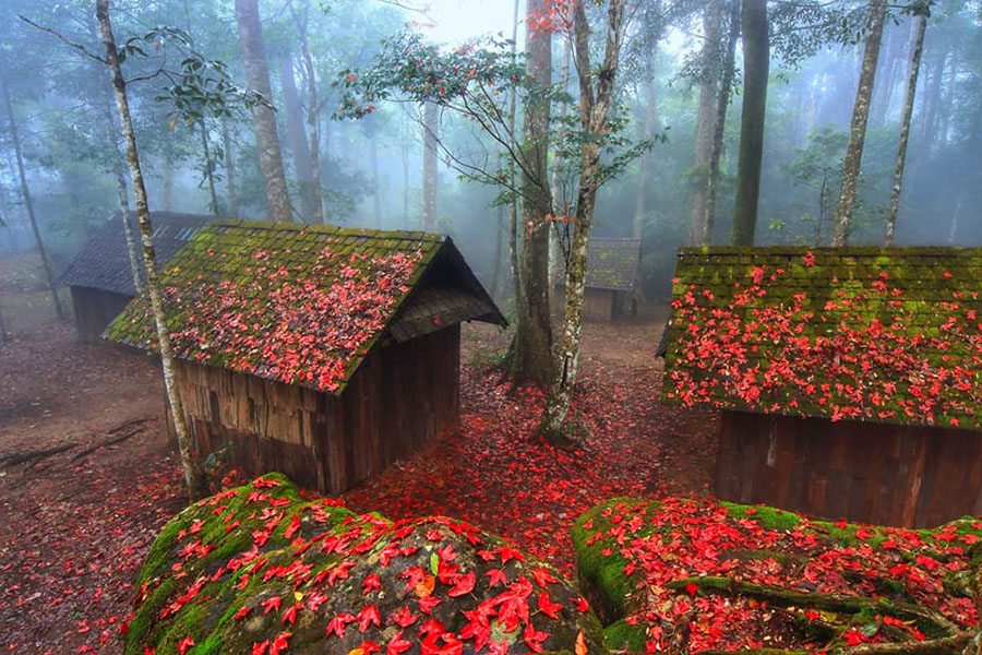 45727164_1982331055177082_6147962529915076608_n