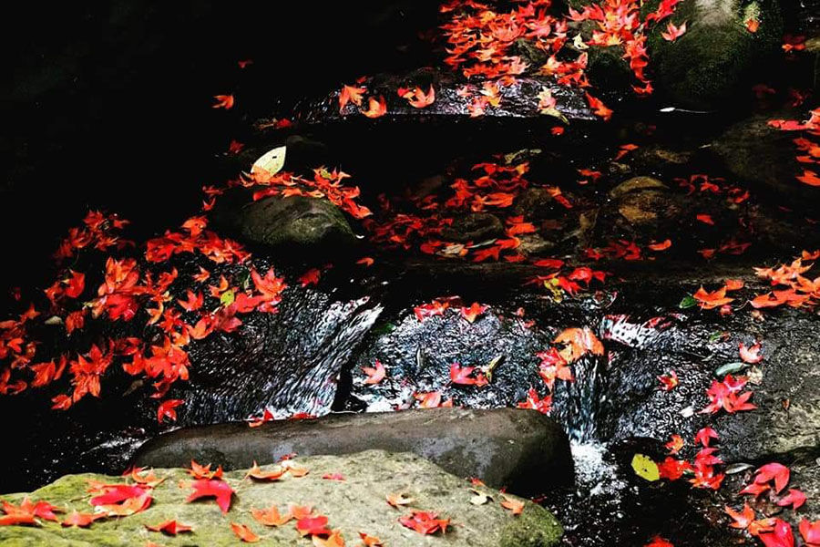 45762166_1854621574660798_6281961588245135360_n