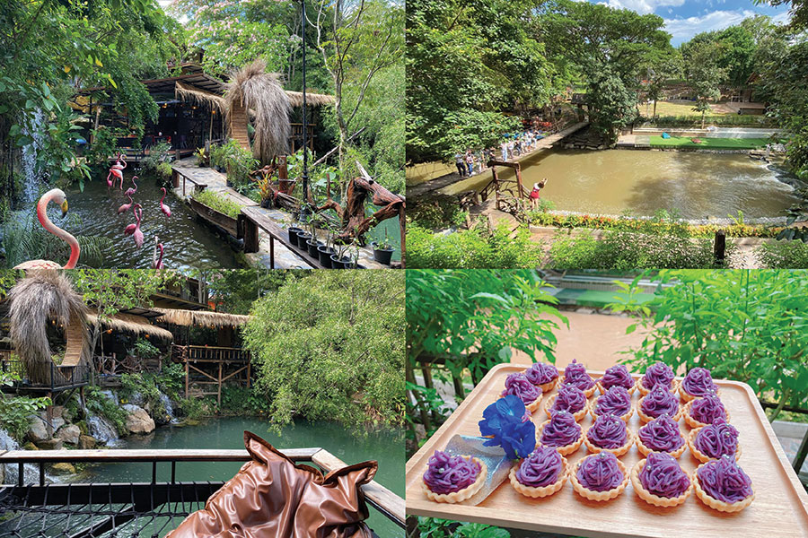 30 คาเฟ่เขาใหญ่ - วังน้ำเขียว - ปากช่องต้องแวะเช็คอิน!