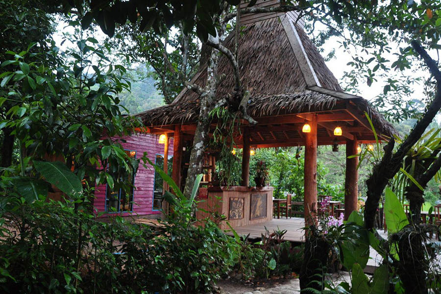 902366_401263623314842_833624885_o