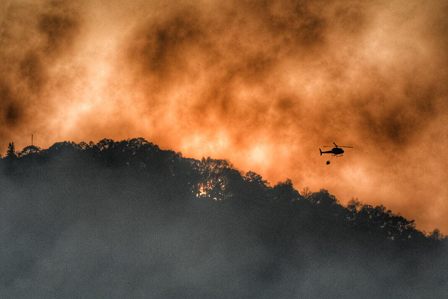 90318926_10207482634260420_8362538291542622208_o