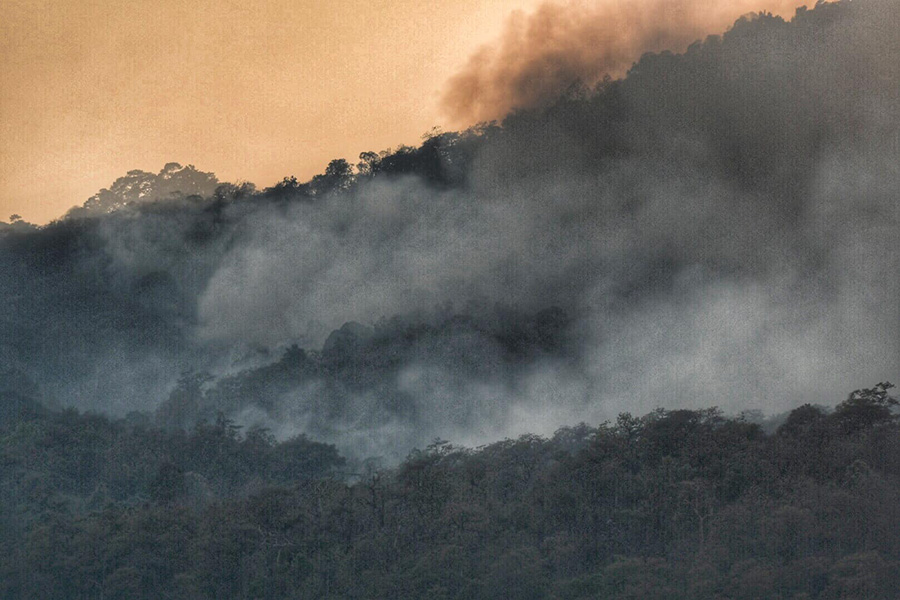 91061259_10207482634740432_4469617644261081088_o