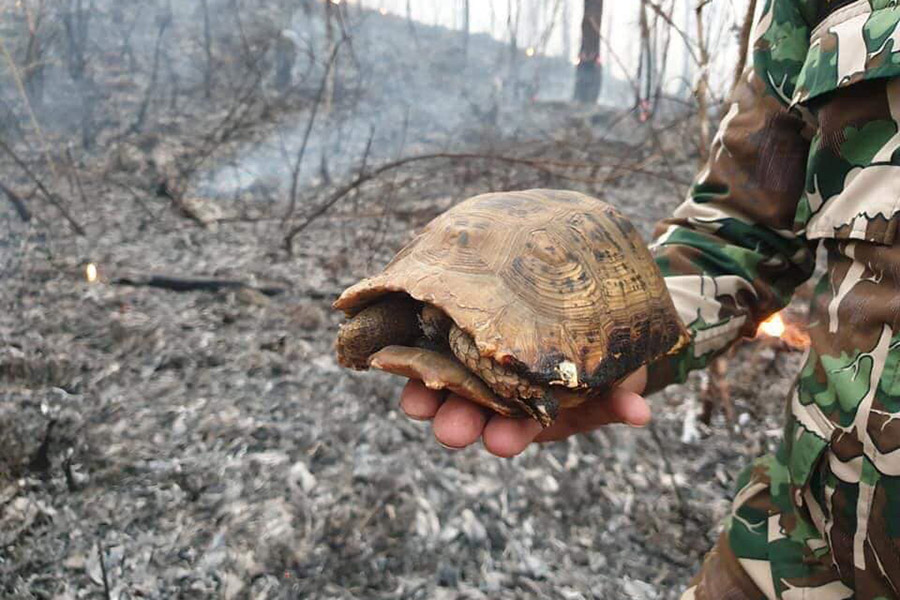 91881953_2449823181783847_1973188583728611328_n