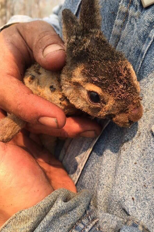 92101367_2449823335117165_5207862208217743360_n