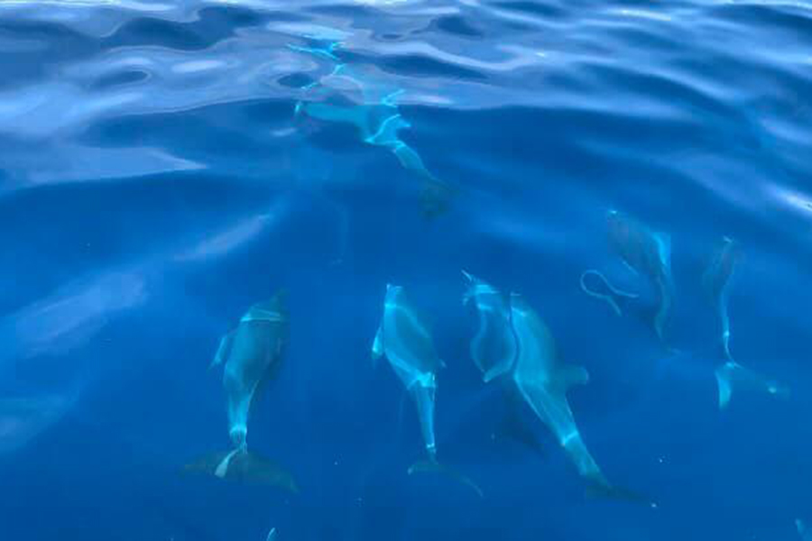 95715540_2511315995634565_4161922141316448256_n