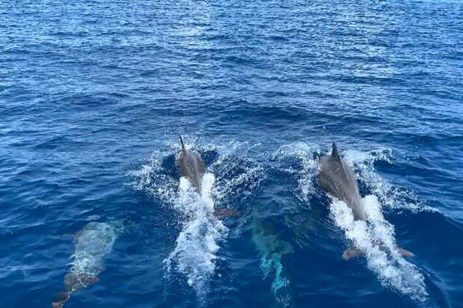 95919644_2511315965634568_504943147323752448_n