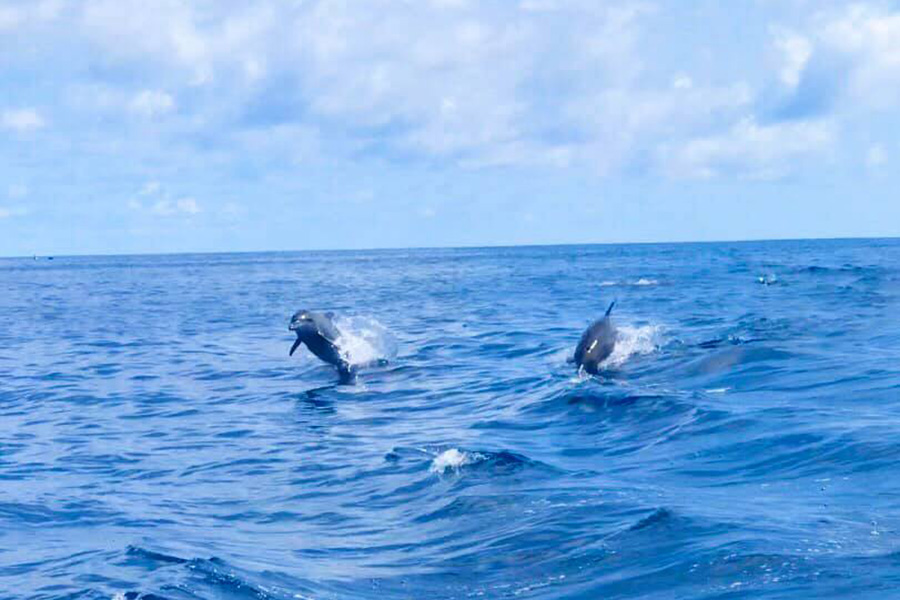 96084313_2511316032301228_1531088388562616320_n