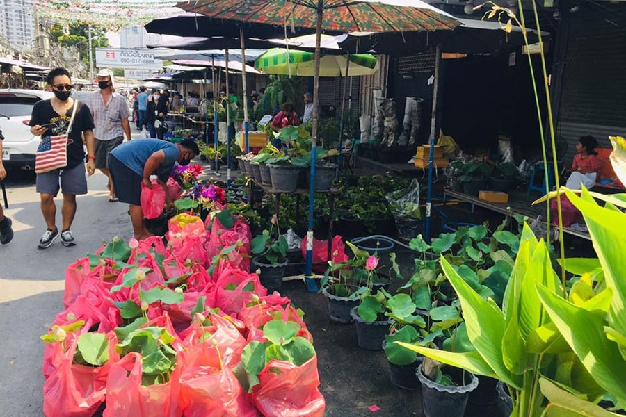 96148638_1119294748469093_805068169113763840_n