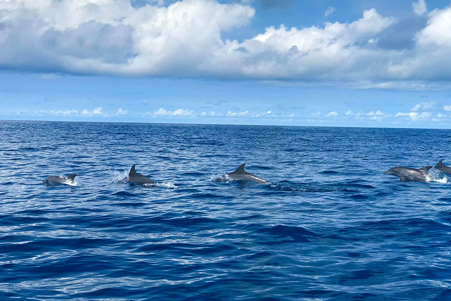 96275970_2511316132301218_2762357934963818496_o